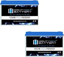 Mighty Max Battery