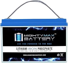 Mighty Max Battery