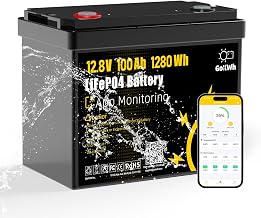 12V 100Ah LiFePO4 Marine Battery with Bluetooth APP, 1280Wh Deep Cycle Trolling Motor Battery, Built-in 100A BMS, 4000+ Deep Cycles, for Boat, RV &amp; Off-Grid Solar System